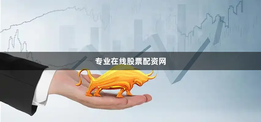 专业在线股票配资网